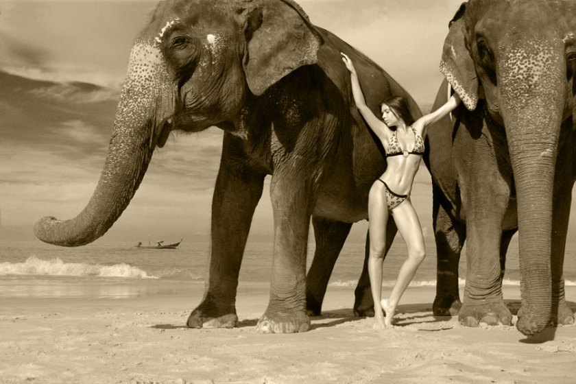 beauty-elephants-woman.jpg?w=840